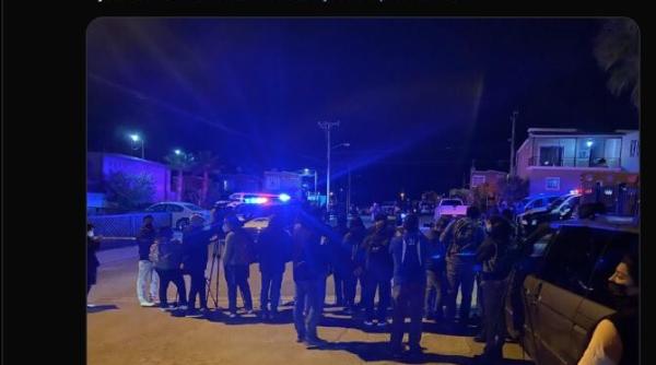 fotografie emotionanta cainele o asteapta acasa pe jurnalista asasinata mi e teama pentru viata mea ii spusese presedintelui tarii in conferinta de presa