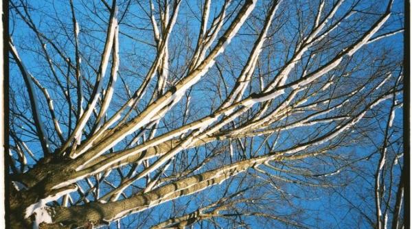 prognoza meteo bucuresti valori maxime vor ajunge si la 9 grade celsius