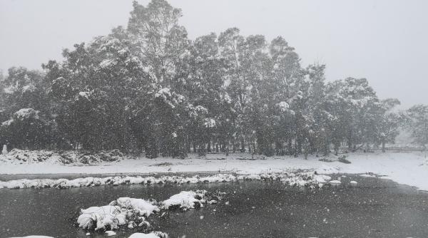 meteo importanta statiilor meteorologice in caz de razboi ancuta manea asta s a intamplat in razboaiele mondiale