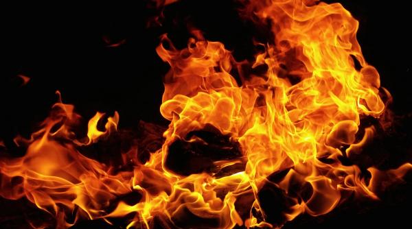 incendiu de vegetatie in lunca dunarii au ars 70 de hectare de teren