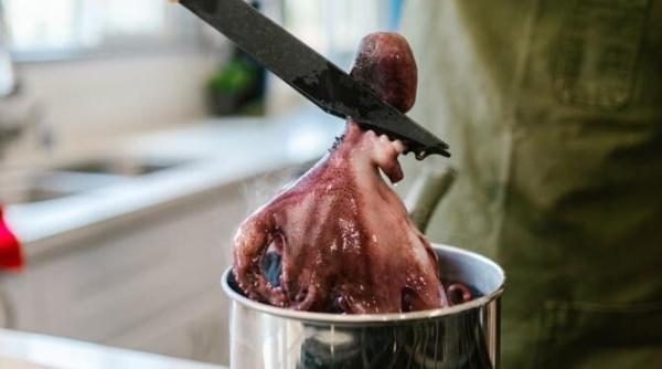 cap de peste in putrefactie caracatita care inca mai misca in farfurie si budinca de sange sunt doar cateva dintre cele mai ciudate delicatese din lume