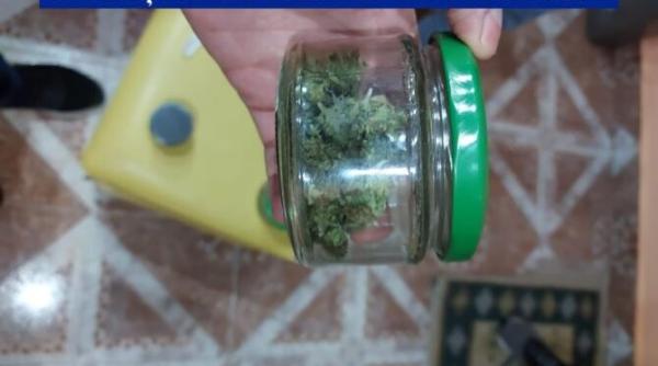 cultura de cannabis de circa 200 de plante in mehedinti un barbat a fost retinut