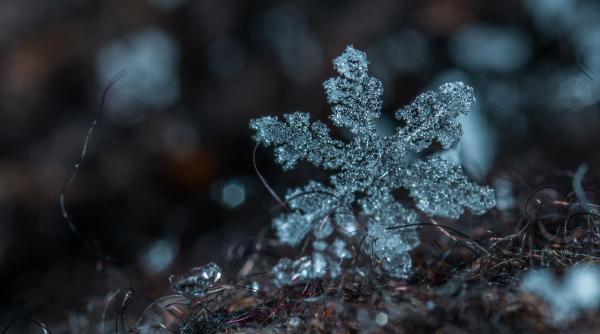 vremea pe luna februarie vesti bune pentru schiori la munte continua sa ninga