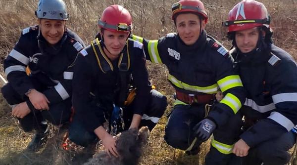 catelusa cazuta intr un put adanc de 12 metri salvata de pompieri specializati in alpinism din hunedoara