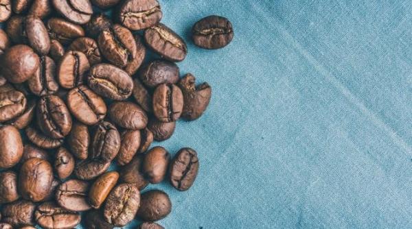 de ce se pun boabe de cafea in sifonier