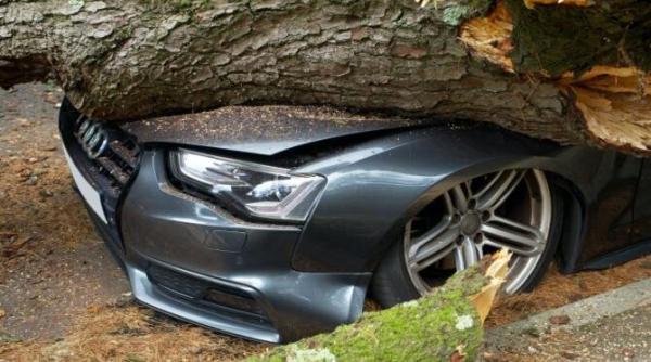 o pandemie diferita dr valeriu surlin cea mai frecventa cauza de trauma asupra organismului e accidentul de circulatie