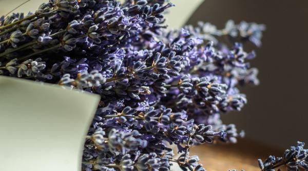 de ce sa punem un saculet cu lavanda in sifonier