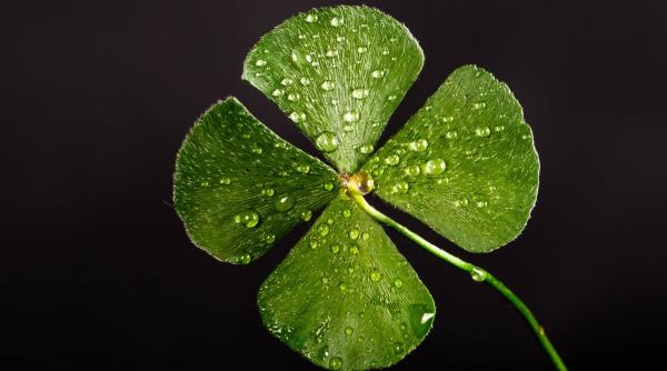 zile norocoase pentru fiecare zodie in 2022 cine are noroc o luna intreaga numerologul voropchievici cea mai protejata zodie