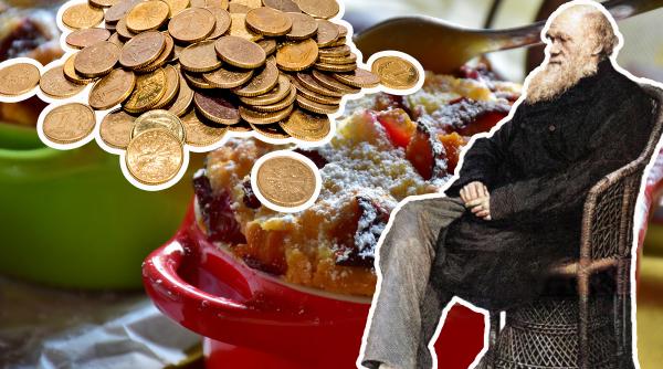 ziua darwin a banutilor rataciti si a budincii de prune