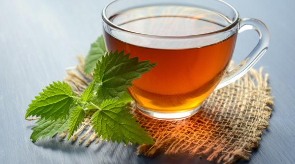 cat de benefic este ceaiul verde pentru organism