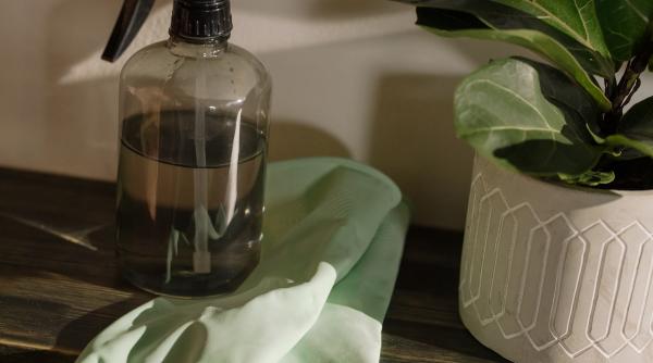 trucuri neobisnuite de curatenie cu spuma de ras te scapa usor de multe probleme