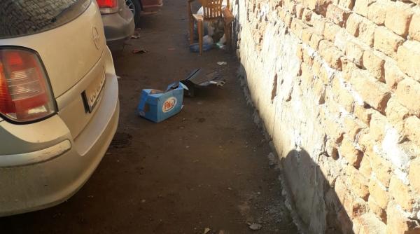 garda de mediu primaria timisoara amendata cu 60 000 de lei din cauza mizeriei de pe strazi