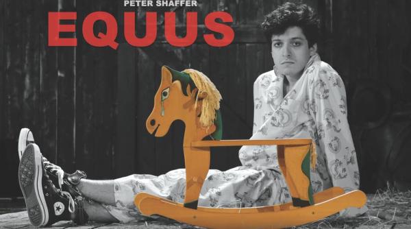equus de peter shaffer in directia de scena a lui victor ioan frunza la teatrul stela popescu
