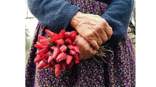 batrana ce cara in pungi iarba pentru animale bulai facea 80 de drumuri intr o zi imaginea neputintei