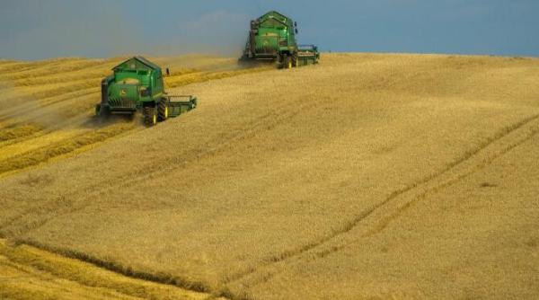 china a relaxat conditiile de import ale graului provenit din rusia