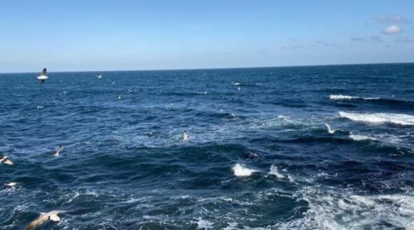 razboi rusia ucraina in 2022 urmau sa vina sute de nave de croaziera la tulcea turismul nu trebuie oprit