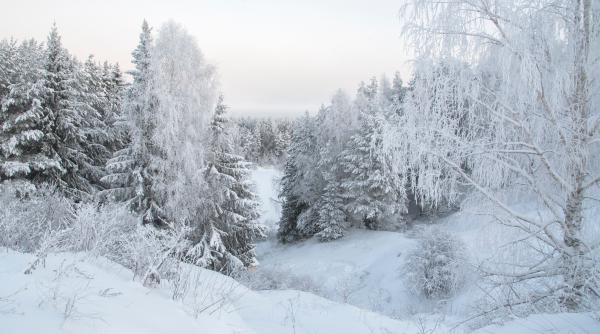 vremea 28 februarie 3 martie cod portocaliu de ninsori si vant