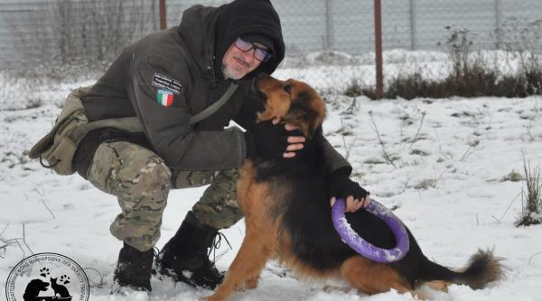 andrea cisternino un italian care a ramas in ucraina de dragul animalelor pe care le a salvat