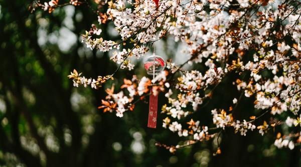 horoscop martie 2022 la ce sa se astepte fiecare zodie in perioada urmatoare multe schimbari