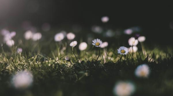 vremea in luna martie cand vine cu adevarat primavara