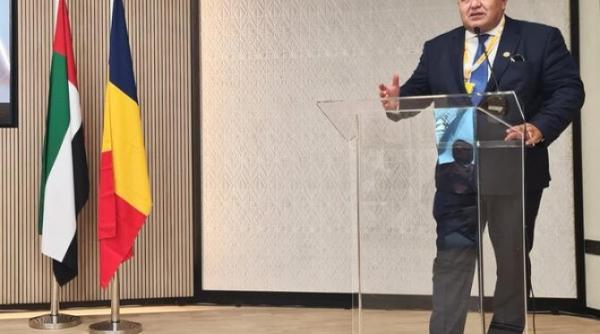 ccir forumul de afaceri romania emiratele arabe unite