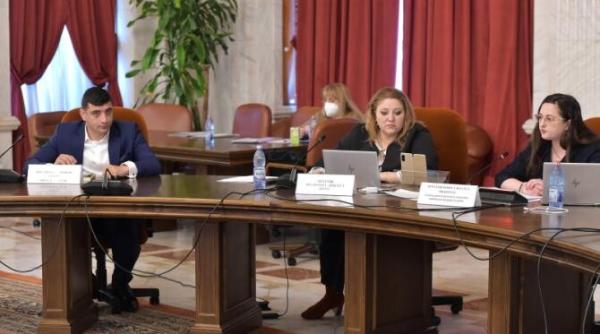 diana sosoaca nu mai e in aur dar tot cu george simion sta ioana constantin va judeca istoria video