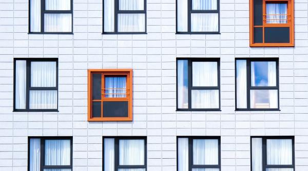 a fost creat lemnul transparent care ar putea inlocui sticla din ferestre