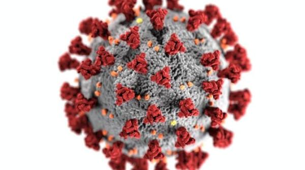 avertizare lumea trebuie sa pregatesca vaccinul pentru urmatorul virus pandemic in doar 100 de zile spune omul de stiinta din spatele vaccinului oxford covid