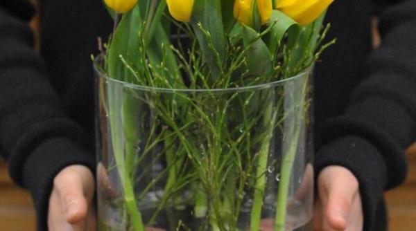 recomandarile lui nicu bocancea master florist international de 8 martie tipuri de buchete pentru mame sotii iubite fiice colege si invatatoare