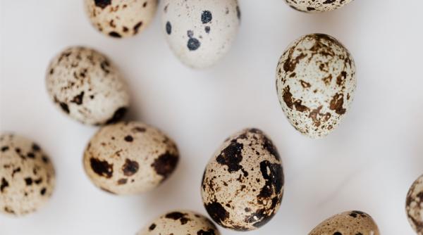 cate oua de prepelita poti manca pe zi beneficiile nestiute ale acestora