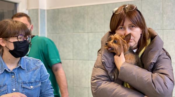 animalele refugiatilor au primit ingrijiri de la veterinarii clujeni