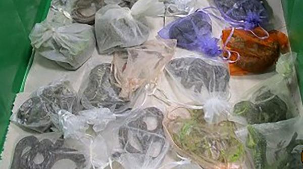 un barbat a incercat sa treaca granita cu mai multe reptile ascunse in haine