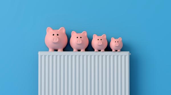 de ce au crescut preturile la energie de fapt