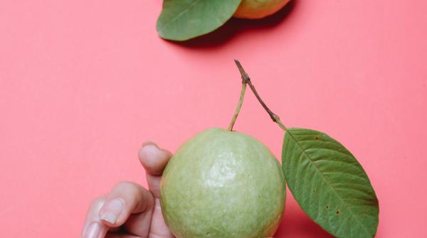 cum te pot ajuta frunzele de guava sa slabesti sanatos