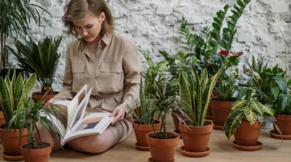 daca ai urmatoarea zodie pregateste te te rupi de partener oportunitati uriase pana in luna mai