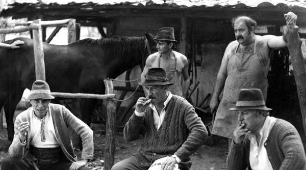 daniel cristea enache suntem exact ca in poiana lui iocan