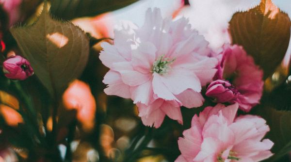 calendar crestin ortodox sarbatoare 16 martie 2022