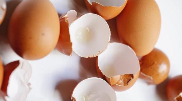 la ce folosesc cojile de oua 15 utilizari mai putin cunoscute