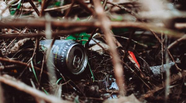 lovalitate din dambovita plina de gunoaie primar vrem o tara ca afara si vrem o comuna curata