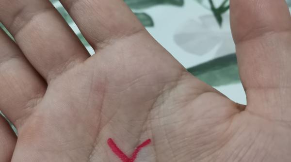 ce semnifica litera x din palma ta