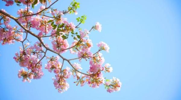 de la frig la cald anm cel mai asteptat anunt cand se incalzeste previziuni pe regiuni