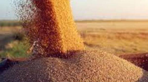 human rights watch razboiul din ucraina ar putea agrava criza alimentara din orientul mijlociu si africa