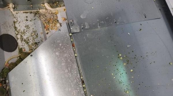 nereguli majore in mai multe magazine cunoscute amenzi mari si alimente retrase de la raft