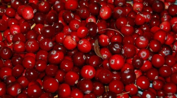 vrei o inima puternica mananca 100g de merisoare in fiecare zi