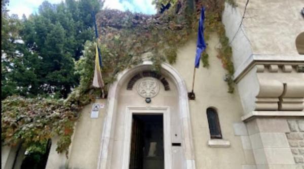 ionut vulpescu icr in chinurile romaniei institutul cultural roman condus dupa modelul rebu sau institutul metalurgic