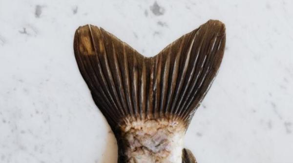 buna vestire 2022 atentie dezlegarea la peste nu este pentru toti credinciosii