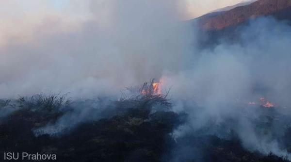 prahova pe primul loc in tara la numarul de incendii de vegetatie peste 600 de hectare au ars in ultimele 3 zile