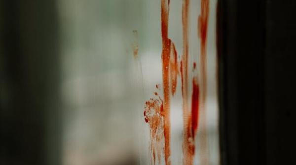 si a ucis mama si voia sa angajeze un asasin pentru restul familiei