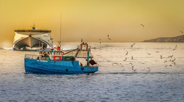 risc major sa distrugem tot pescuitul din romania carmen avram vine criza alimentara se va intoarce impotriva noastra