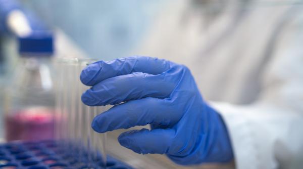 screening pentru boli cronice in programul national de sanatate